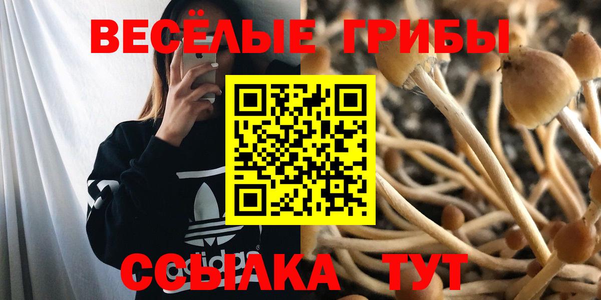 Лобня  купить  сайты  Вход с VPN  Галлюциногенные грибы GOLDEN TEACHER 
